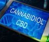 cbd laws