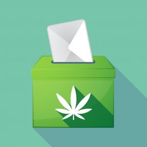 , Opinion: After the election, let&#8217;s focus on fixing the arbitrary THC standard in hemp