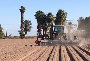 California hemp industry, California&#8217;s hemp industry in &#8216;complete chaos&#8217;