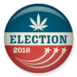 Hemp ballot measures, Hemp on the ballot in key states, with THC limits and production rules on the line