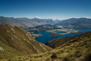 New Zealand hemp, New Zealand legalizes hempseed as food, issues guidelines