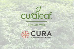 Curaleaf CBD