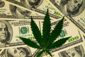 Hemptown capital raise, Multistate producer Hemptown ready to scale hemp production, processing sites with $23 million capital raise