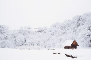 Hemp and bad weather