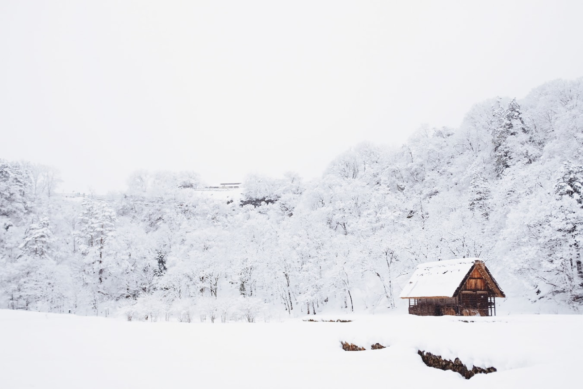 photo of Early snow threatens Western hemp, sending farmers scrambling image