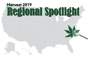 Southeast hemp harvest, Southeast harvest preview: 98% of North Carolina and Virginia farmers planted hemp for CBD production