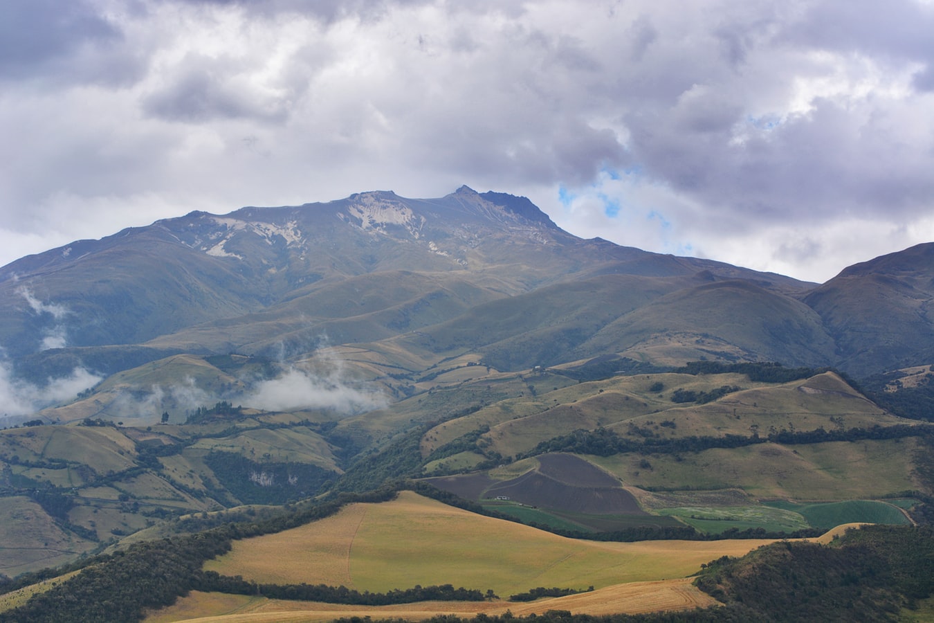 photo of Canadian hemp producer braces for Latin American competition image