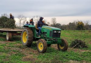 USDA hemp benefits, Hemp farmers eligible for USDA programs under new federal rules