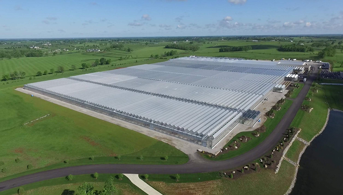 Former hemp powerhouse lists Kentucky greenhouse for sale