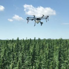 Irish hemp drone