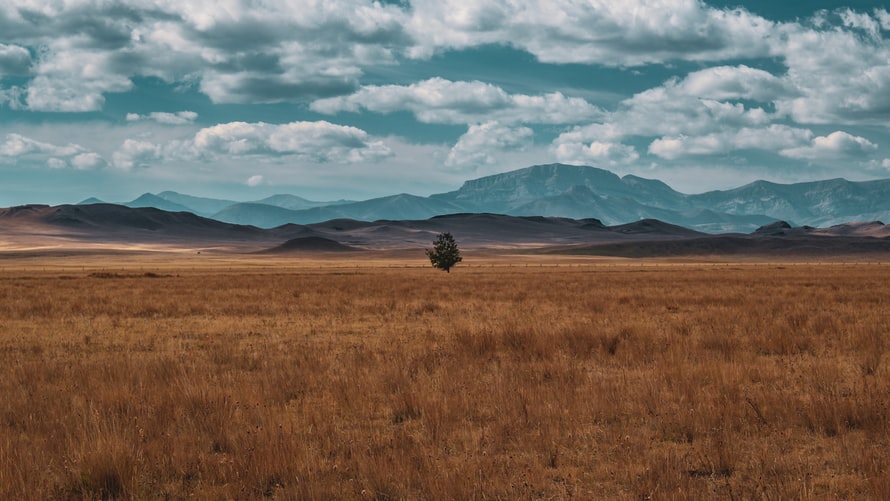 photo of Montana lawmakers mull plan to separate hemp, marijuana production image