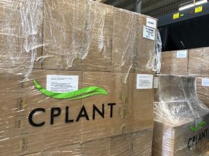 , Uruguay hemp seller ships half ton of low-THC flower to Switzerland via Germany