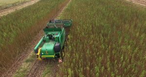 USDA hemp delay, Hemp farmers get last-minute delay on USDA compliance, but not everyone is happy