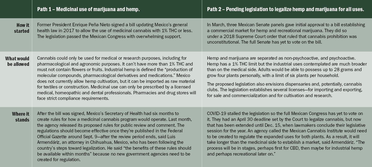 Mexico cannabis and hemp legalization, Chart: Making sense of Mexico&#8217;s dual legalization measures