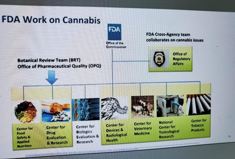 FDA cannabinoids gender, FDA details challenges, research gaps in regulating cannabis-derived products