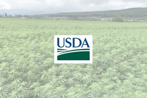 USDA hemp research, USDA grants $20 million for hemp research focused on sustainability, diversity and equity