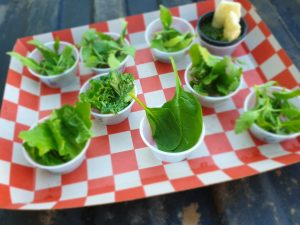 , Hemp baby greens may be the next salad superfood, researchers say