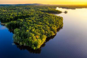 , Despite falling 2020 hemp acreage, Wisconsin farmers remain interested in crop&#8217;s potential