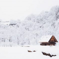 snow and hemp