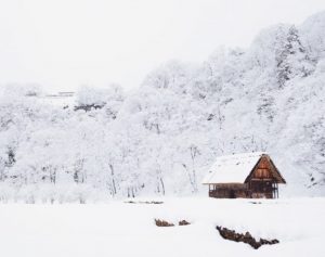 snow and hemp