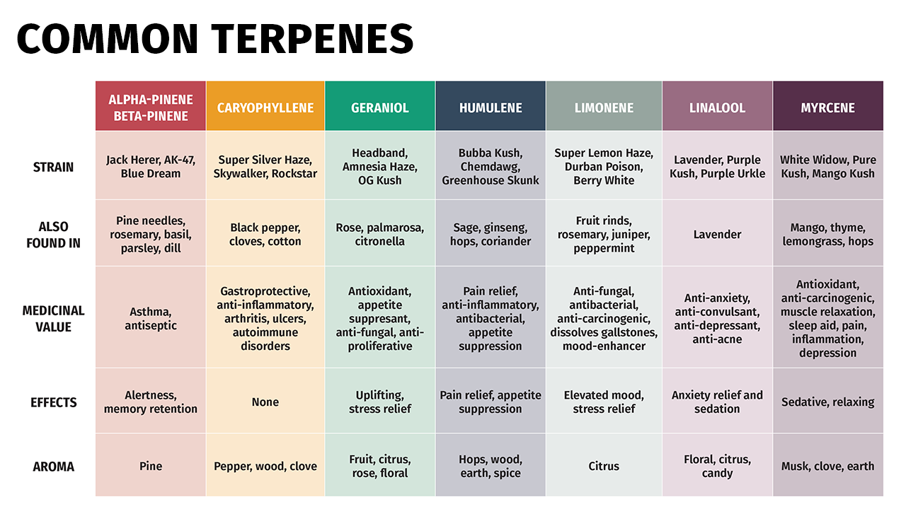 terpenes | cannabis labels, Manufacturers split on value of marijuana terpene labels