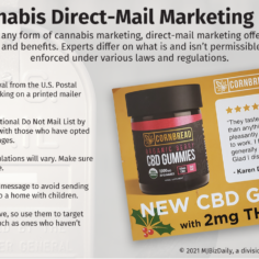 A table showing cannabis direct-mail marketing tips